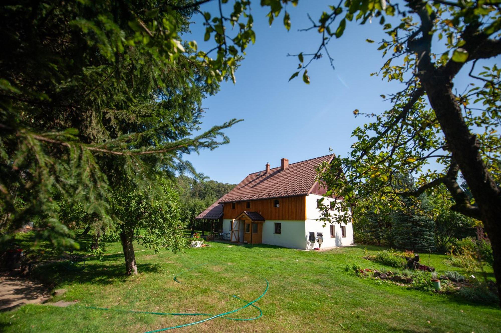 Sokolowiec 31