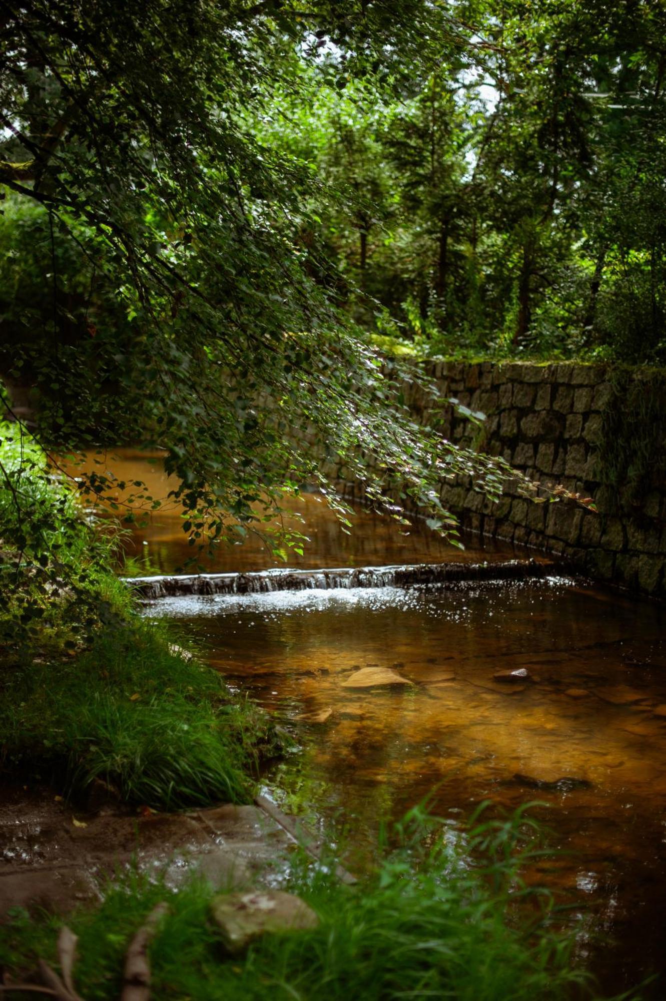 Sokolowiec 31 Sedziszowa