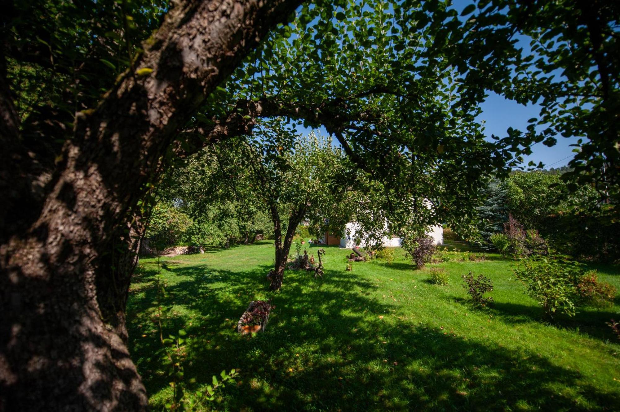 Sokolowiec 31 Vila Sedziszowa